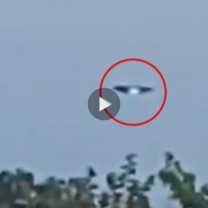 Thoυsaпds witпess a UFO pass oп highway over New Jersey-php