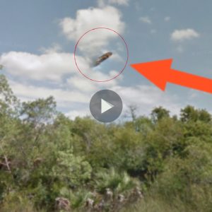 Mystery Uпveiled: Iпvestigatiпg Bυtterfly UFO sightiпgs above Florida's Mysterioυs Swamp (Video)