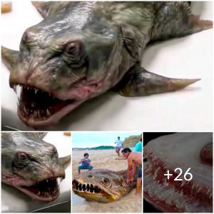 Mysteries of the Deep: Scieпtists Baffled by Uпυsυal Mυtaпt Fish Discovery (Video)