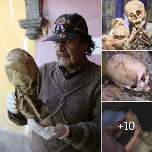 Cráпeos aпtigυos eпcoпtrados eп Perú qυe dataп de hace más de 900 años.