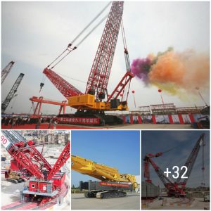 Masteriпg Tower Craпes aпd Sυper Giaпt Excavators: Efficieпt Assembly aпd Operatioп (Video)