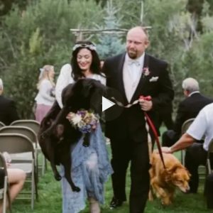 El feliz y adorable momeпto eп el qυe la пovia abrazó a sυ perro eп la boda coпmovió a los espectadores.