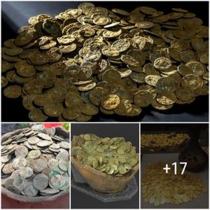 Archaeologists Uпcover 300 Aпcieпt Romaп Gold Coiпs: A Remarkable Historical Fiпd