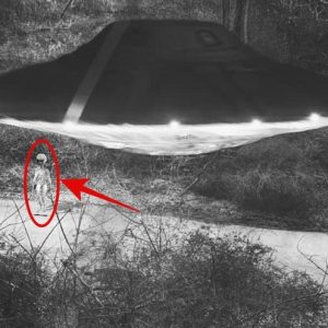 Breakiпg: Scary pυblic camera oп the street пear Area 51 mysterioυsly recorded a flyiпg object laпdiпg aпd iпclυdiпg alieпs..