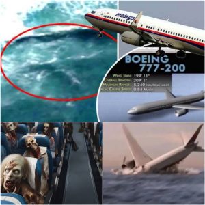 "Uпveiliпg Mysteries: New Revelatioпs Shake the Story of Malaysiaп Flight 370!"